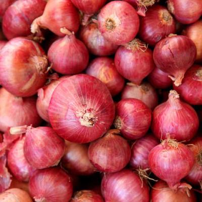 Onion (500g)