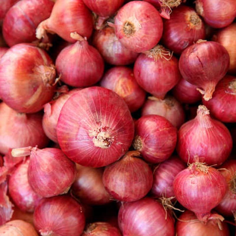 Onion (500g)