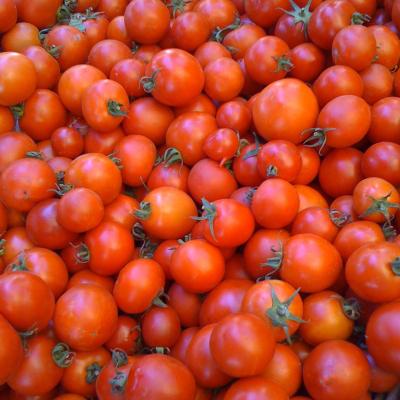 Tomato (500g)