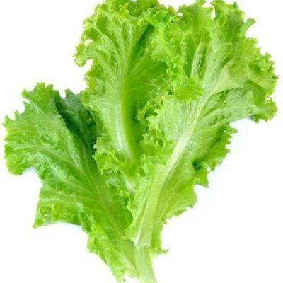 Lettuce (200g)