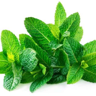 Mint (100g)