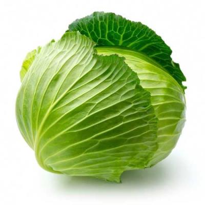 Cabbage (500-600)