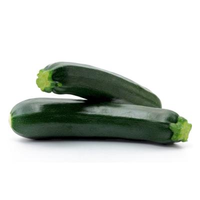 Zucchini (500-550g)