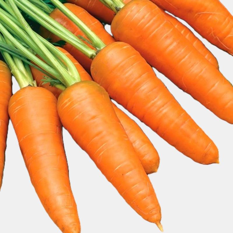 Carrot (500g)
