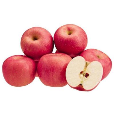 Small Fuji (500-550)