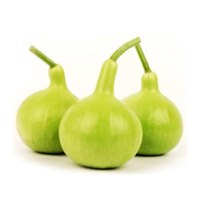 Round Lauka(1-1.2kg)