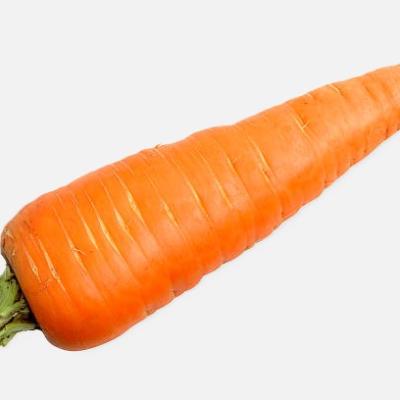 Carrot (500g)