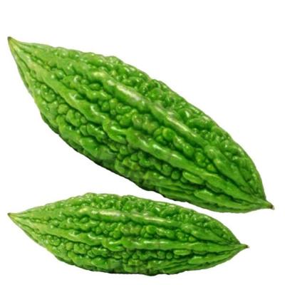 Karela (500-550g)