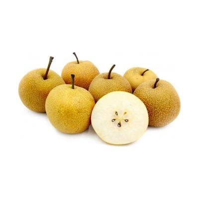 Pear (500-550)