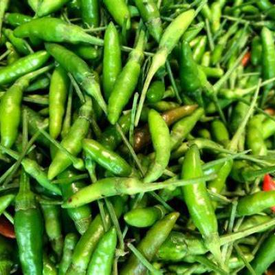 Green Chilli(250g)