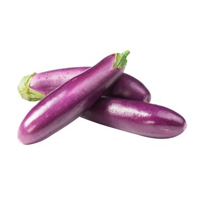 Brinjal long (500-550g)