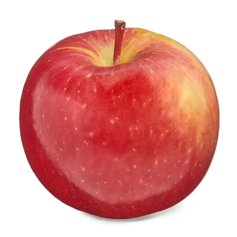 Fuji Apple (500-550g)