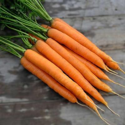 Carrot (500g)
